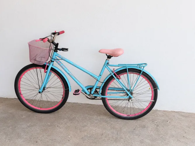 Bicicleta adulto