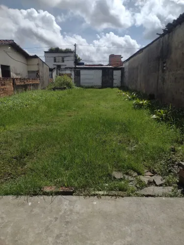 Serviço de roçagem de terrenos campos etc