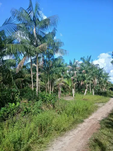 Terreno