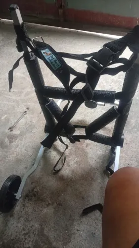 Cadeira de rodas para cachorro grande tamanho foi testado só uma vez