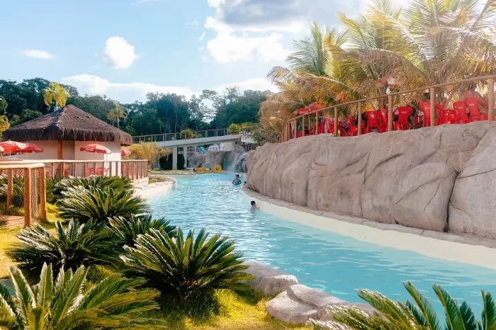 Dream Park - Ação Vitalícia - 6 agregados 