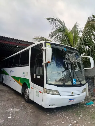 Renovação 