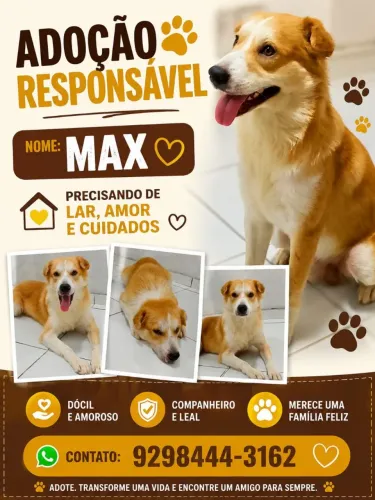 Adoção Responsável 
