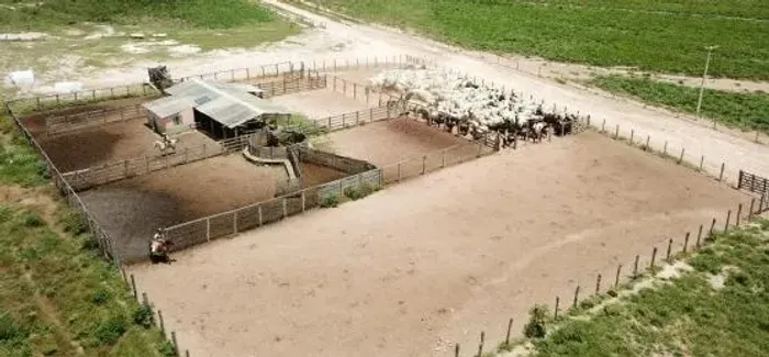 fazenda - Centro - Baianópolis