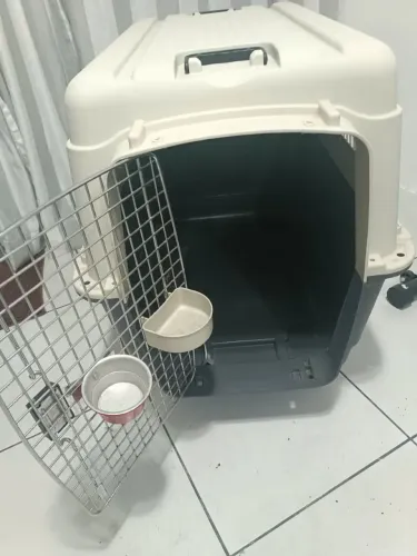 Vendo caixa de trasporte para cachorro 