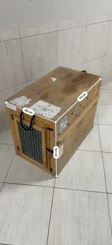 Caixa Transporte PET Grande n7