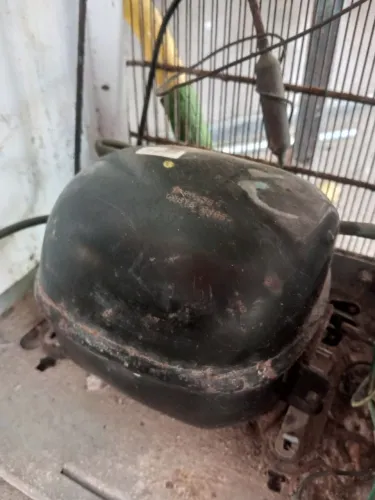 Motor de bebedouro 