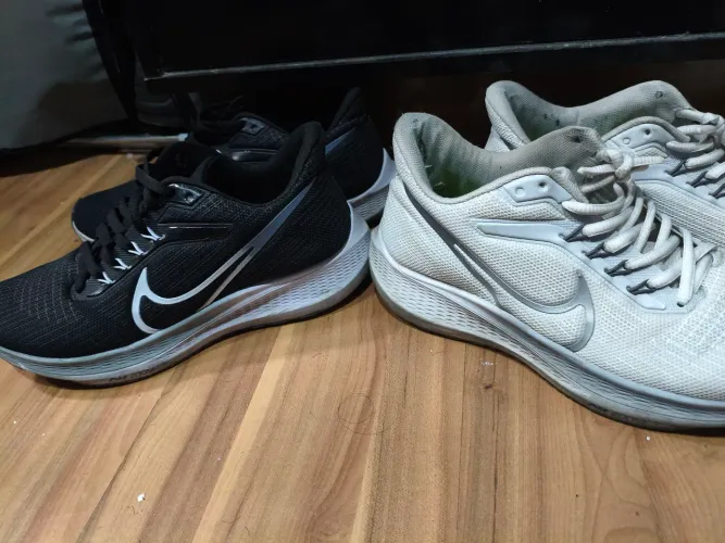 2 tênis Nike Pegasus número 40