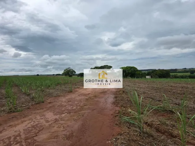 Fazenda à venda, 556600 m² por R$ 12.000.000 - Jardim Social - Uchoa/SP