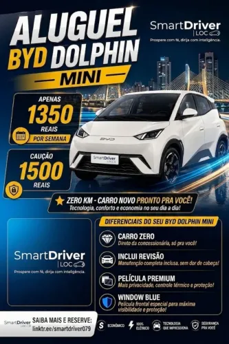 Dolphin Mini modelo 2027