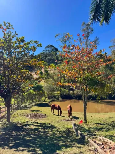 Fazenda/Sítio/Chácara para venda possui 500 metros quadrados