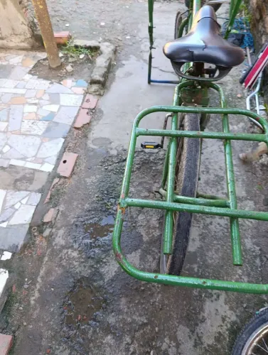 Bicicleta cargueira