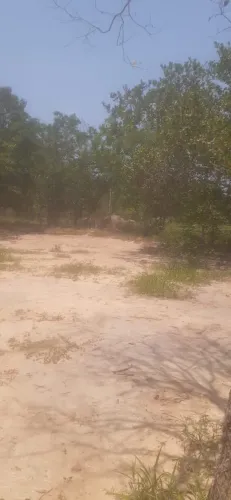 Vendo um terreno medindo 60 X 45