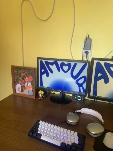 Monitor 19pol
