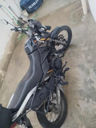 Crosser 2019