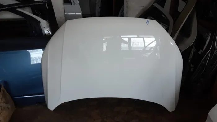 Capô gol g8
