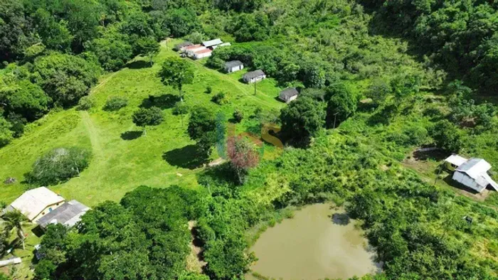 VENDO FAZENDA DE CACAU COM 58 HECTARES