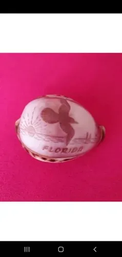 Concha Flórida 