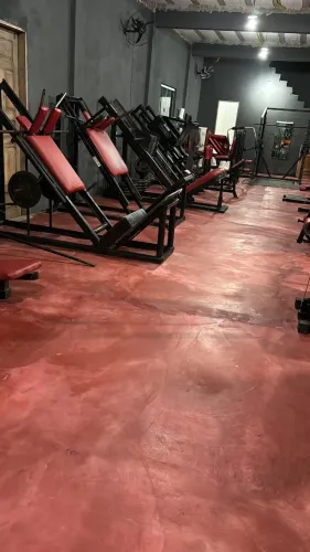 Equipamentos de Academia de Musculação