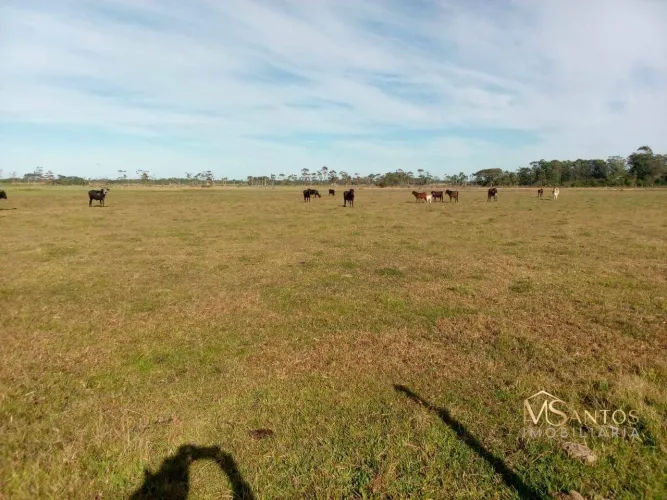 Terreno à venda, 117880 m² por R$ 1.200.000,00 - Balneário Esplanada - Jaguaruna/SC