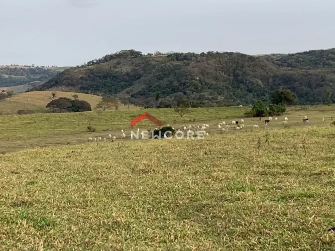 Sítio em Centro - Centro - Anhumas/SP