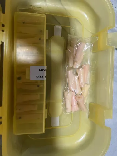 Manequim odontológico 