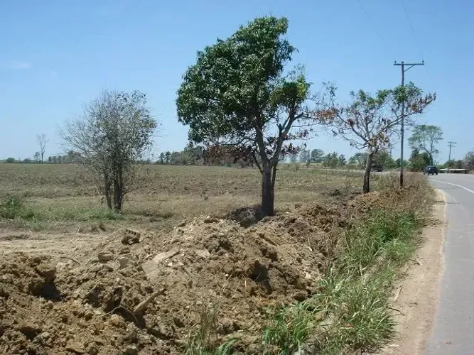 ÁREA 31.000 M² ESTRADA DO CERAMISTA ARAÇÁ