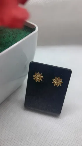 Brincos Pequenos Semijoias 