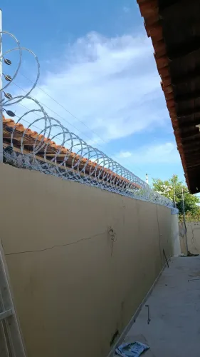 Concertina