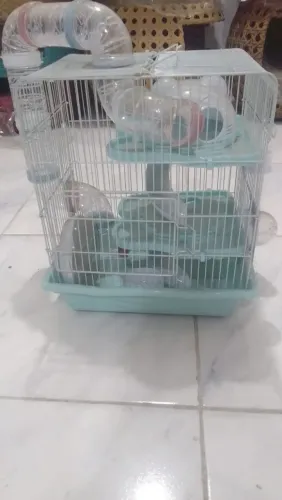 Hamster / Roedores em geral
