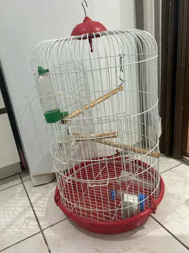 Gaiola para calopsita redonda