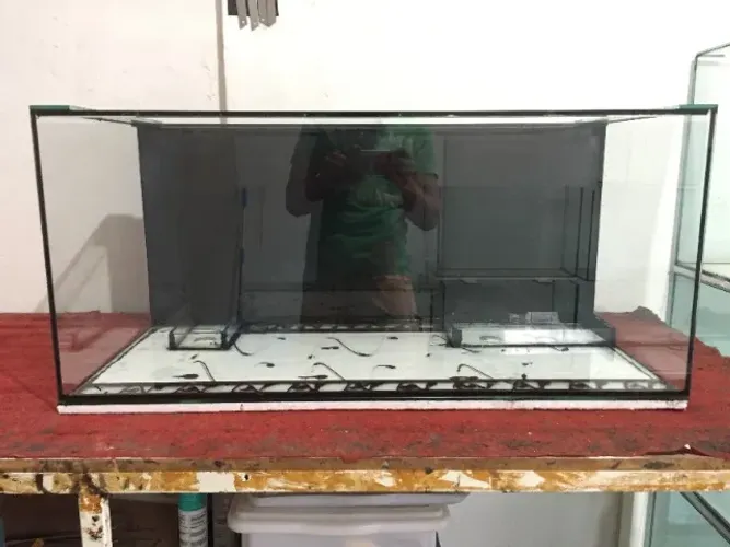 Aquário Água Doce 240L com sistema de botas Garantia de Fábrica
