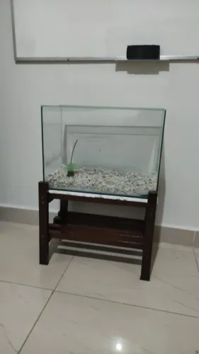 Aquário 45 litros