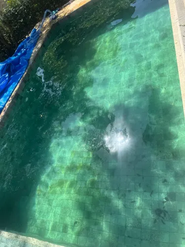 Piscineiro