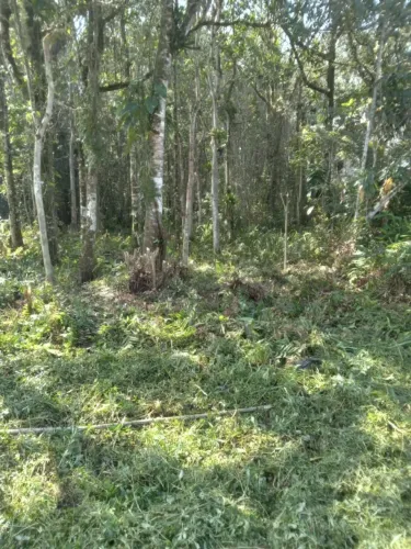 Terreno em Itanhaém, 10x25 M² (250M²) - Vendo e/ou troco por carro