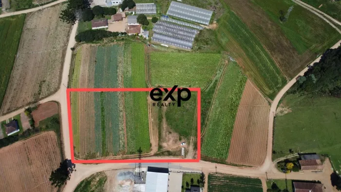 Terreno de esquina com 9.000 m² no Colônia Murici (Caminho do Vinho)