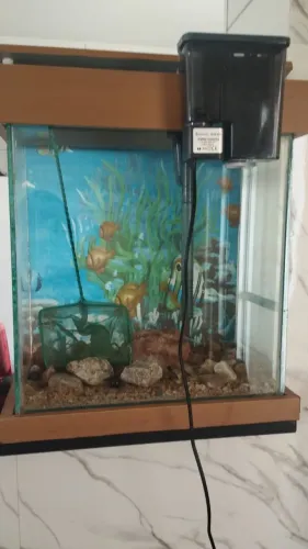 Aquário com bomba