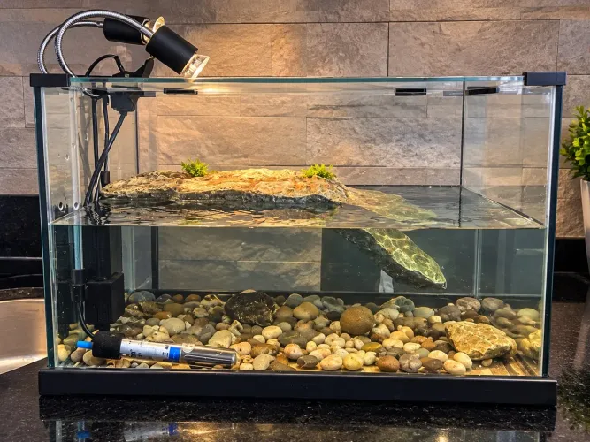 Aquaterrário para Tartarugas + Lâmpada 70W + Suporte Duplo com Timer - R$ 499
