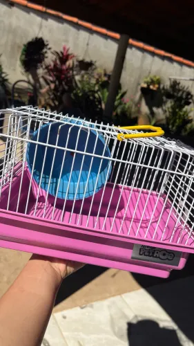 Vende-se casinha de hamster