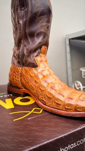 Bota jacaré Jácomo