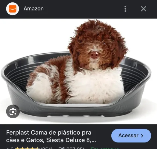 Cama para pet
