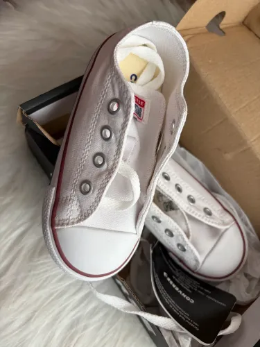 All Star 23, Novo