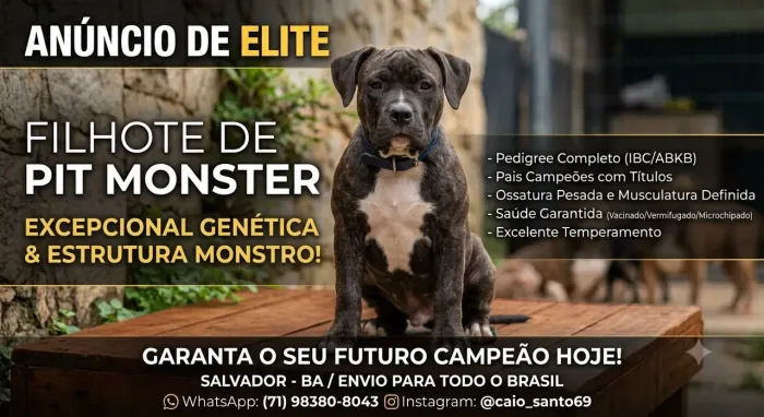 Filhote de pit monster de 5 mês