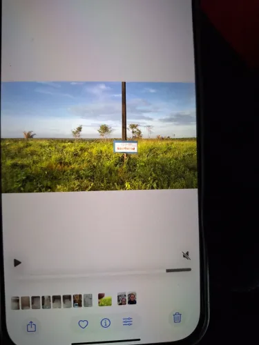 Vendo área propria para pequena fazenda. 