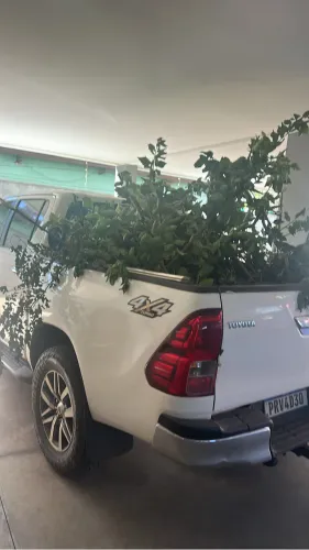 Toyota Hilux CD SRV 4X4 2.8 TDI Diesel Aut. 2019