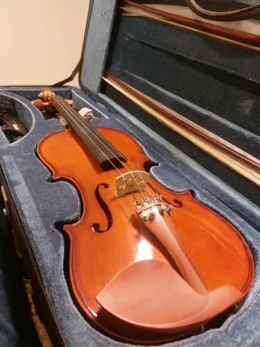 Violino Eagle VE 441 4/4 Usado