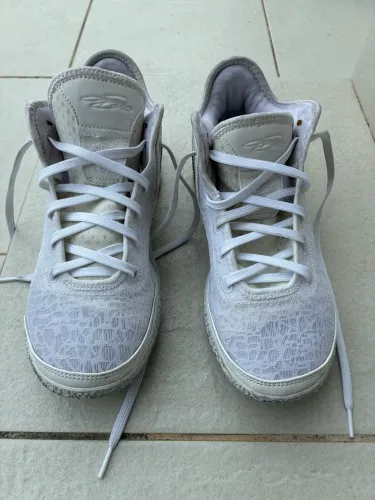 Tênis Nike Leblon NXXT gen T.42
