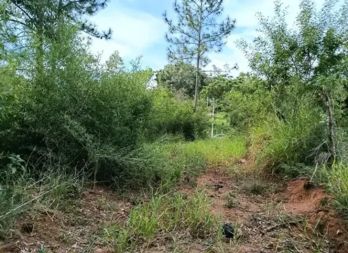 Terreno no Parque Eldorado 