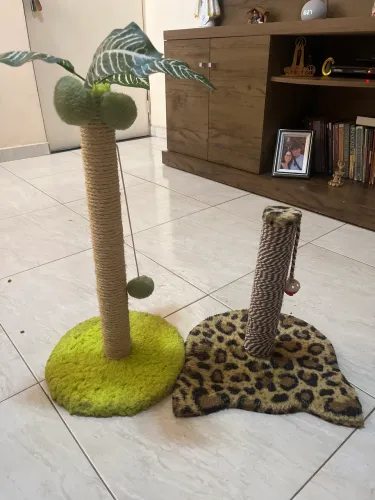Arranhadores de gato