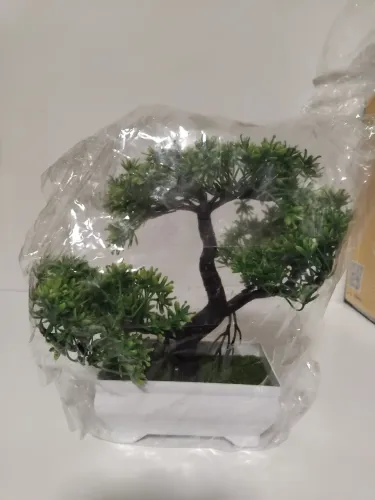 Bonsai minimalista artificial